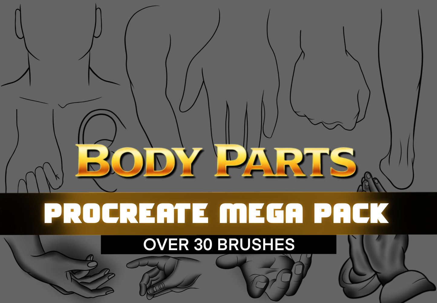 Body Parts