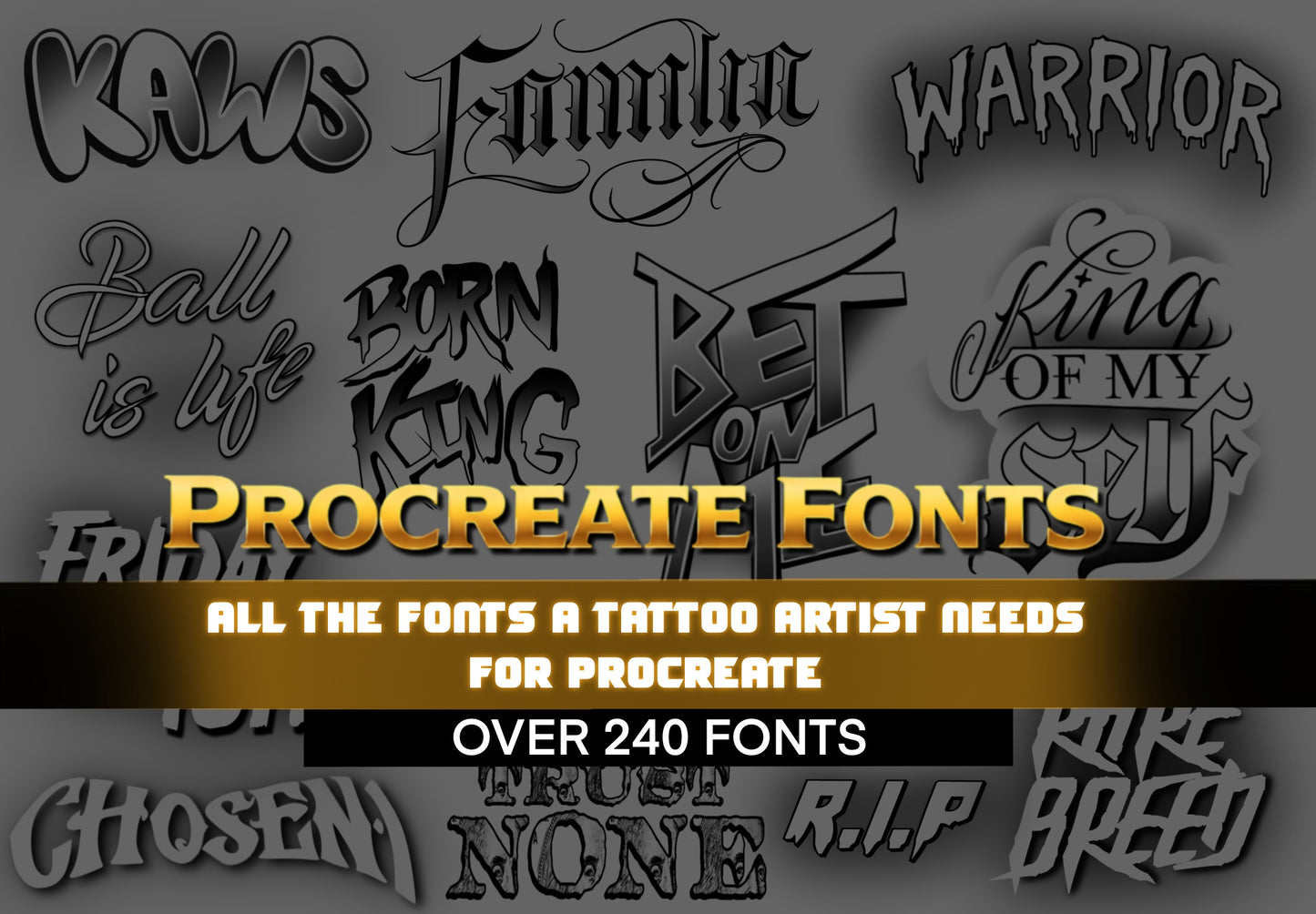 Procreate Fonts