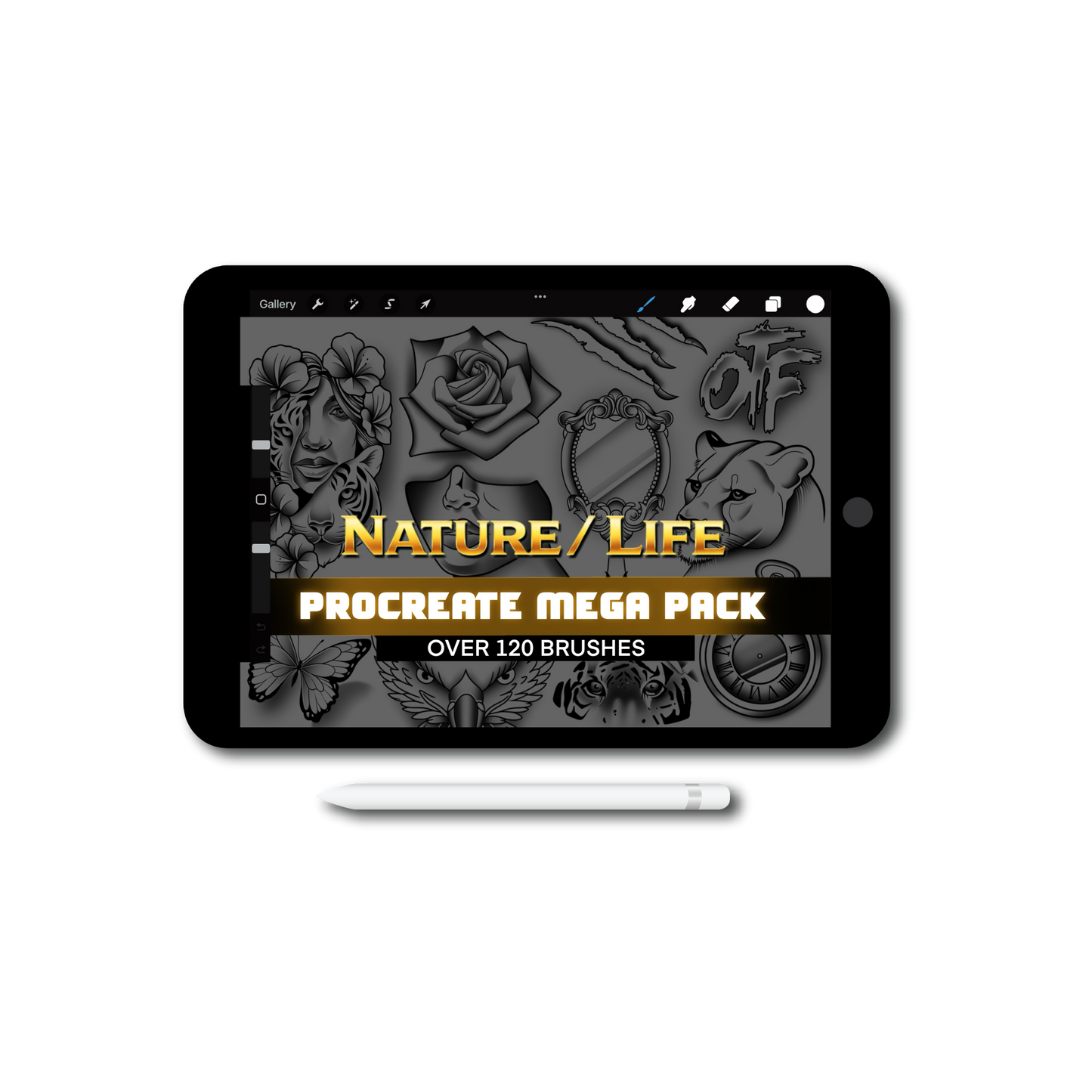Nature / Life
